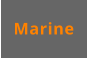 Marine